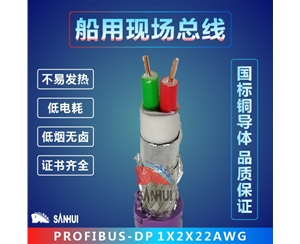 船用現場總線