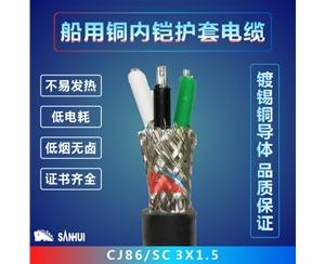船用銅內鎧護套電纜