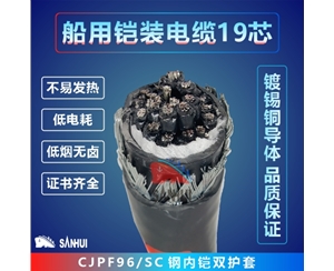 船用鎧裝電纜19芯