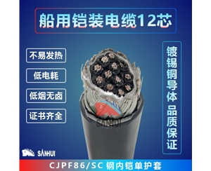 船用鎧裝電纜12芯